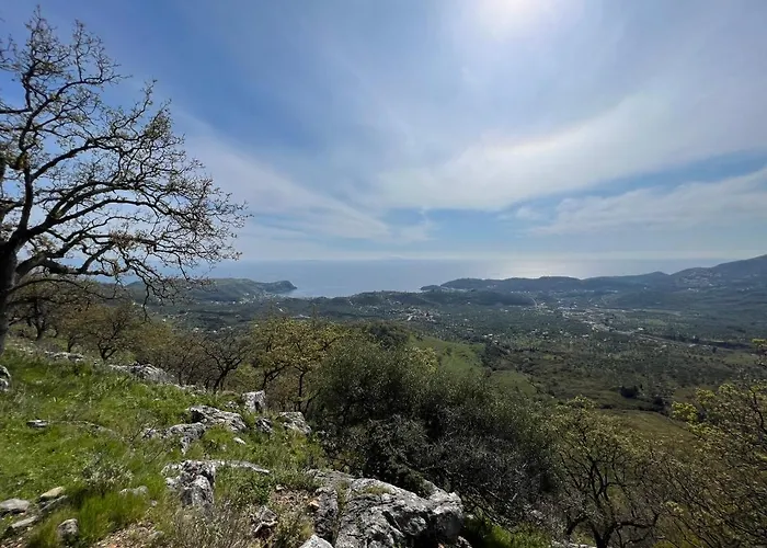 게스트하우스 Elpis 히마레